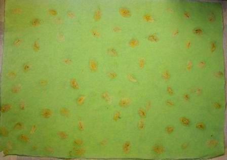 Indipaper - light green pond (light green pond)